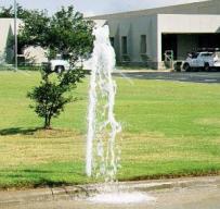 Burst Sprinkler